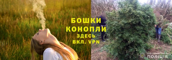 прущая мука Няндома